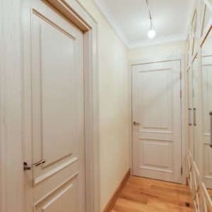 Противопожарная дверь для разделения коридоров / серия FRM33384